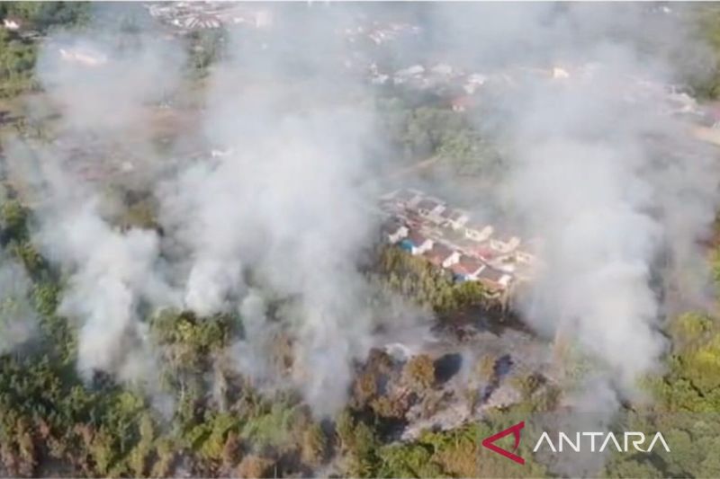 Karhutla di Palangka Raya Capai 306 Kejadian, 264 Hektare Lahan Terbakar Sepanjang Juni-Agustus