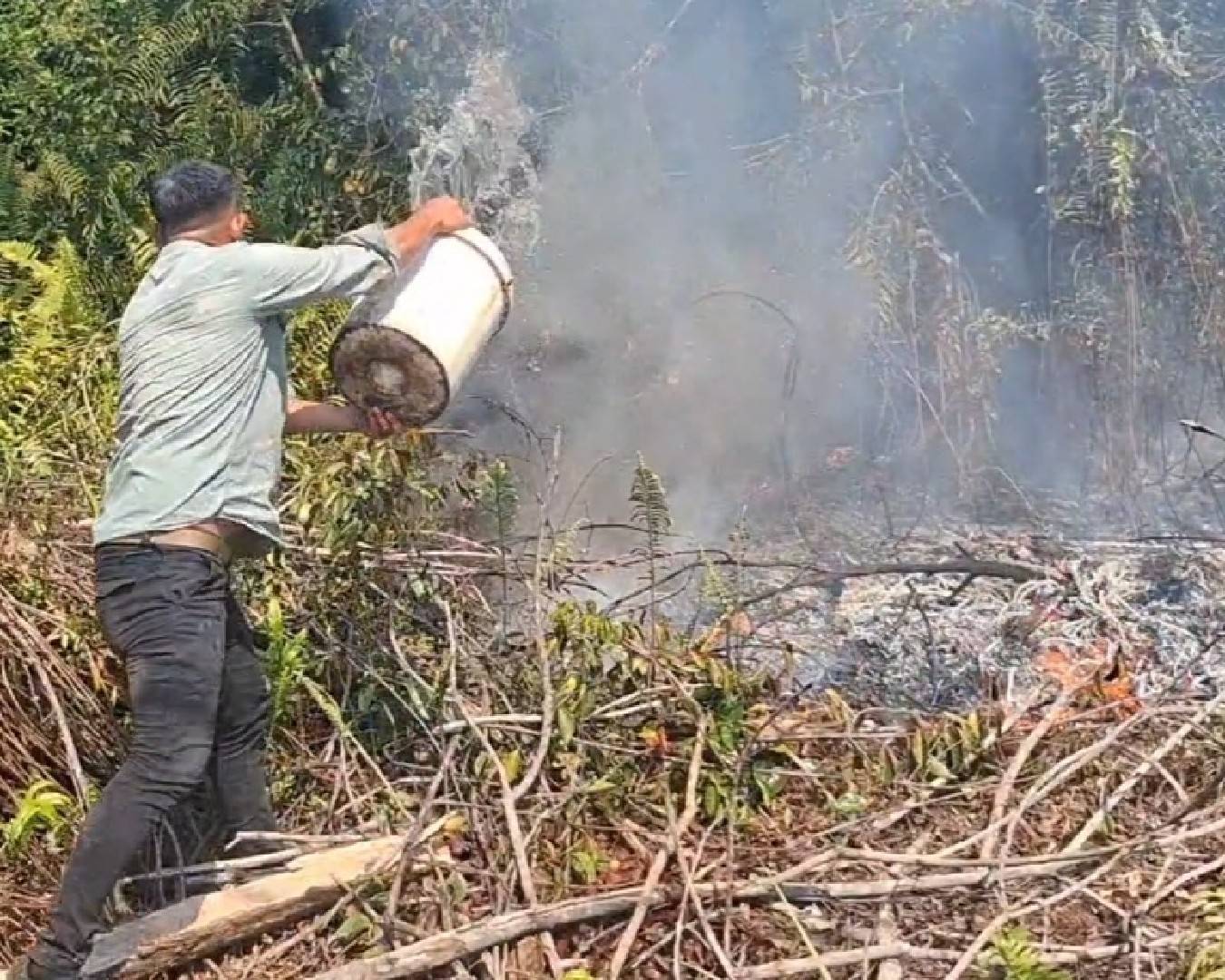 Bupati Kotim Halikinnor Minta Warga Laporkan Pelaku Pembakar Lahan, Titik Api Baru Muncul Usai Dipadamkan