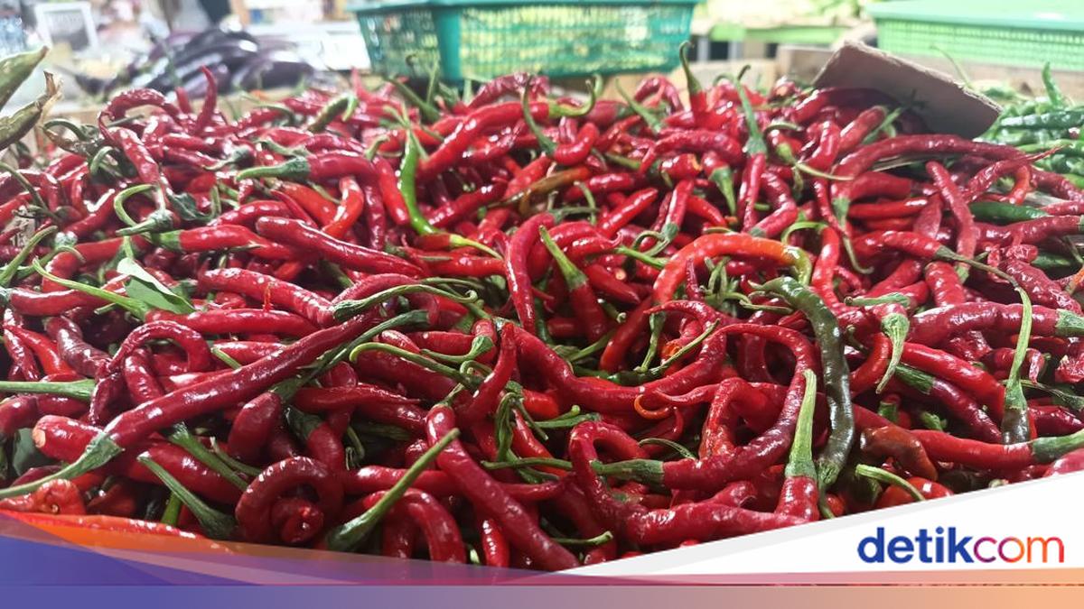 Harga Cabai Merah di Sumut Anjlok ke Rp 30 Ribu per Kg, Cabai Rawit Justru Tembus Rp 70 Ribu