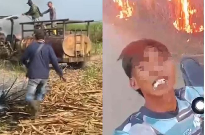 Lamaran Kerja Ditolak, Pemuda di Ogan Ilir Bakar Ladang Tebu PT SGN, 4,5 Hektare Hangus