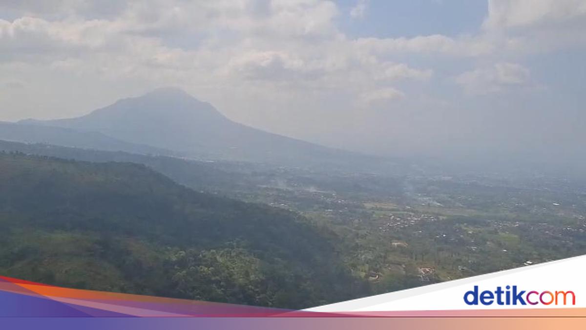 Kebakaran Gunung Arjuno-Welirang Padam, BPBD Jatim Masih Tutup Jalur Pendakian di Tahura Raden Soerjo