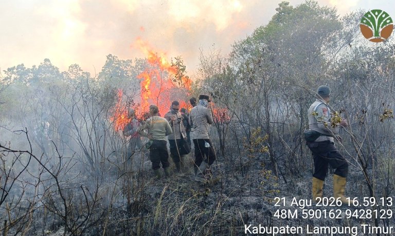 Kebakaran Melanda Taman Nasional Way Kambas Lampung Timur, Petugas Kesulitan Padamkan Api karena Lahan Kering dan Minim Air