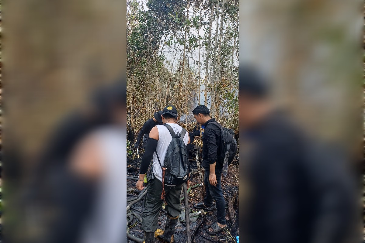 Karhutla Gambut di Kampus UPR Palangka Raya Hari Ketiga, Mahasiswa Terjun Bantu Padamkan Api