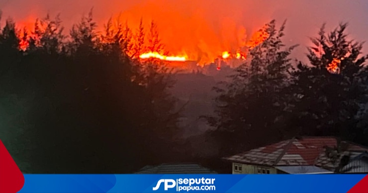 Kebakaran Hutan di Ilaga Papua Tengah Merambat ke Pemukiman dan RSUD, Kapolres Sebut Hampir Merata di Seluruh Distrik