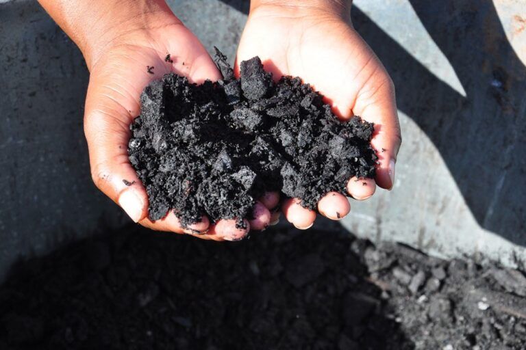 ABII Gandeng IDSurvey Bangun Standar Biochar Nasional, Target Pasar Global