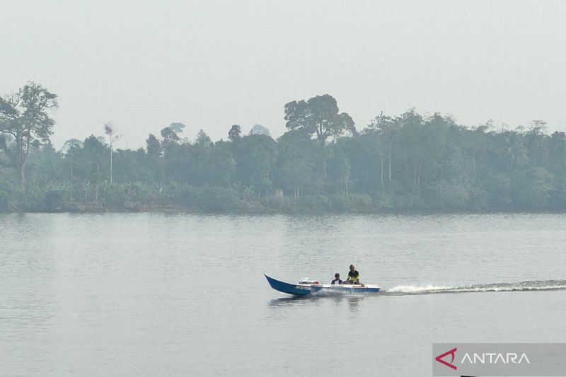 Kabut Asap Karhutla Mulai Selimuti Kaltara, Dinkes Minta Warga Tak Andalkan Masker Kain