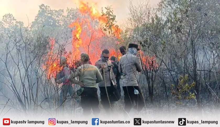Kebakaran Taman Nasional Way Kambas Meluas ke 673,4 Hektare, 29 Personel Gabungan Dikerahkan