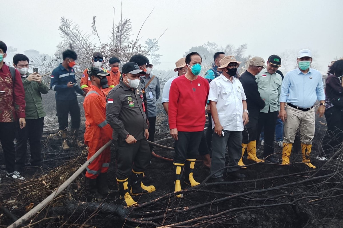 Wamenko Pangan Turun ke Palangka Raya Tinjau Karhutla, Minta BNPB hingga Dunia Usaha Bergerak Bersama
