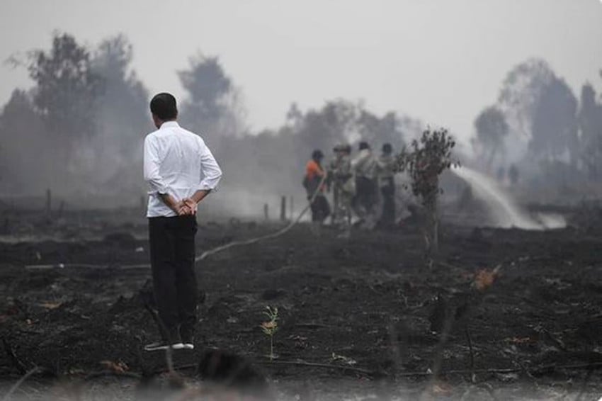 Kader PSI Dian Sandi Unggah Foto Jokowi Tangani Karhutla, Warganet Singgung Kinerja Menhut Raja Juli Antoni