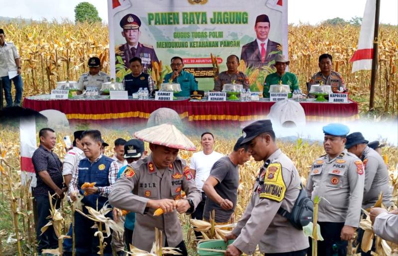 Panen Raya Jagung di Abuki, Kapolres Konawe Dorong Petani Optimalkan Lahan untuk Dukung Program Ketahanan Pangan Prabowo