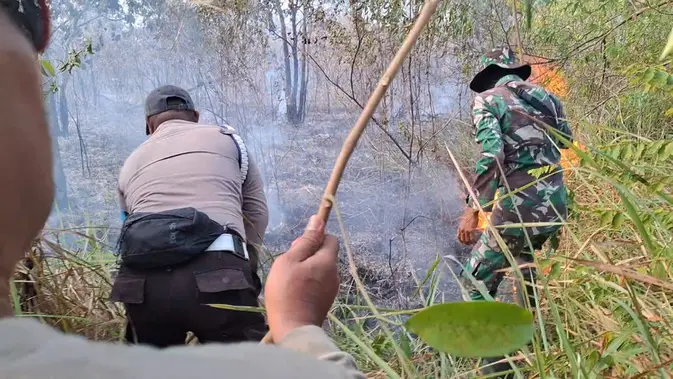 Kebakaran Taman Nasional Way Kambas Meluas ke 673 Hektare, Personel Gabungan Dikerahkan