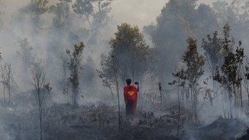 Karhutla di Kapuas Meluas, Tim Damkar Terkendala Akses Sungai dan Asap Tebal