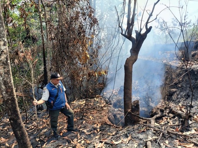 Jalan Provinsi di Tarakan Terancam Amblas Imbas Batubara Bawah Tanah Aktif, BPBD Minta Penanganan Berjenjang ke Pemprov Kaltara