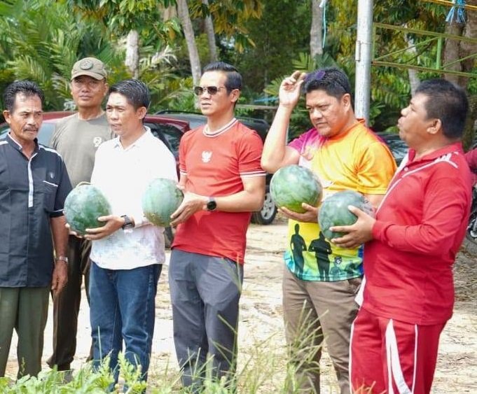 Bupati Nunukan Panen Perdana Semangka dan Jagung di Selisun, Targetkan Kampung Hortikultura Baru
