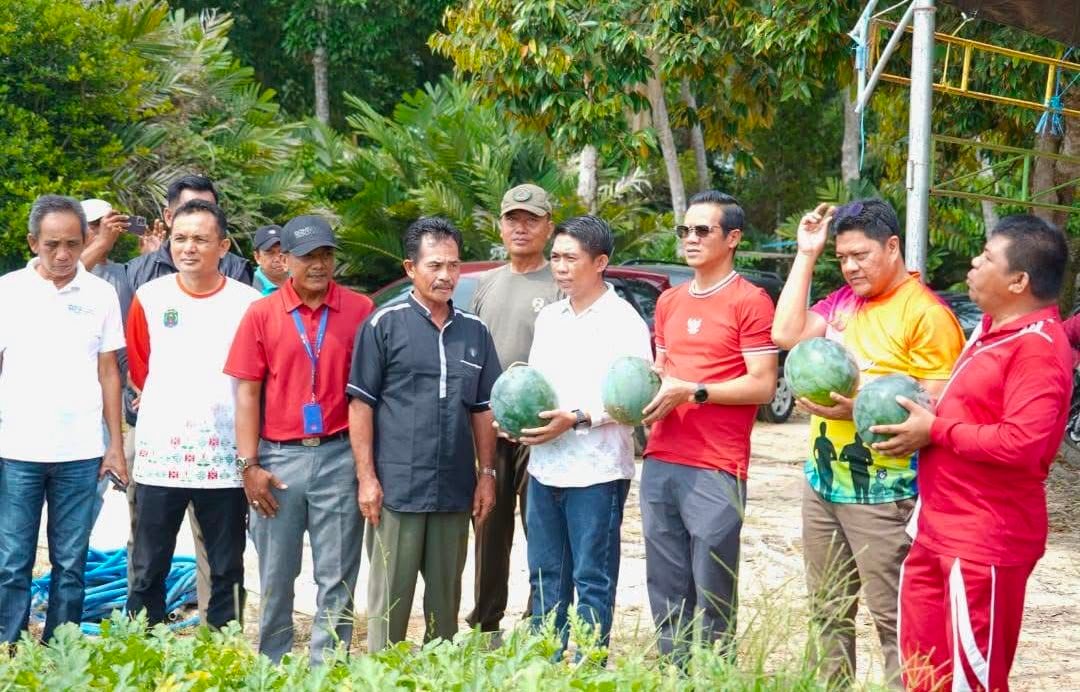 Bupati Nunukan Panen Perdana Semangka dan Jagung Manis di Kampung Hortikultura Selisun, Targetkan Penuhi Kebutuhan Daerah