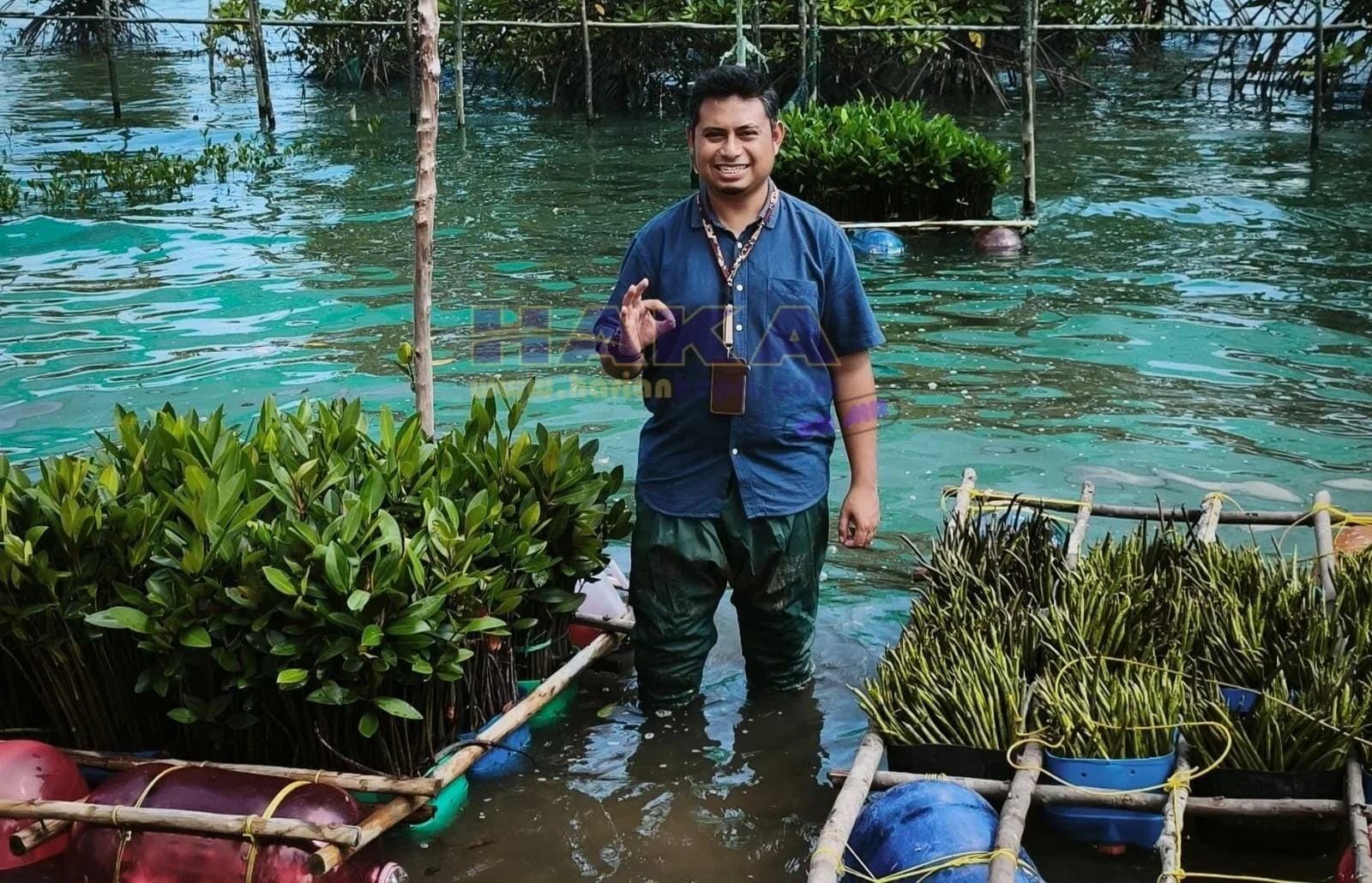 Dosen UMRAH Rancang Aplikasi Rhizophora Carbon Offset Calculator, Ubah Emisi Karbon Perjalanan Jadi Bibit Mangrove
