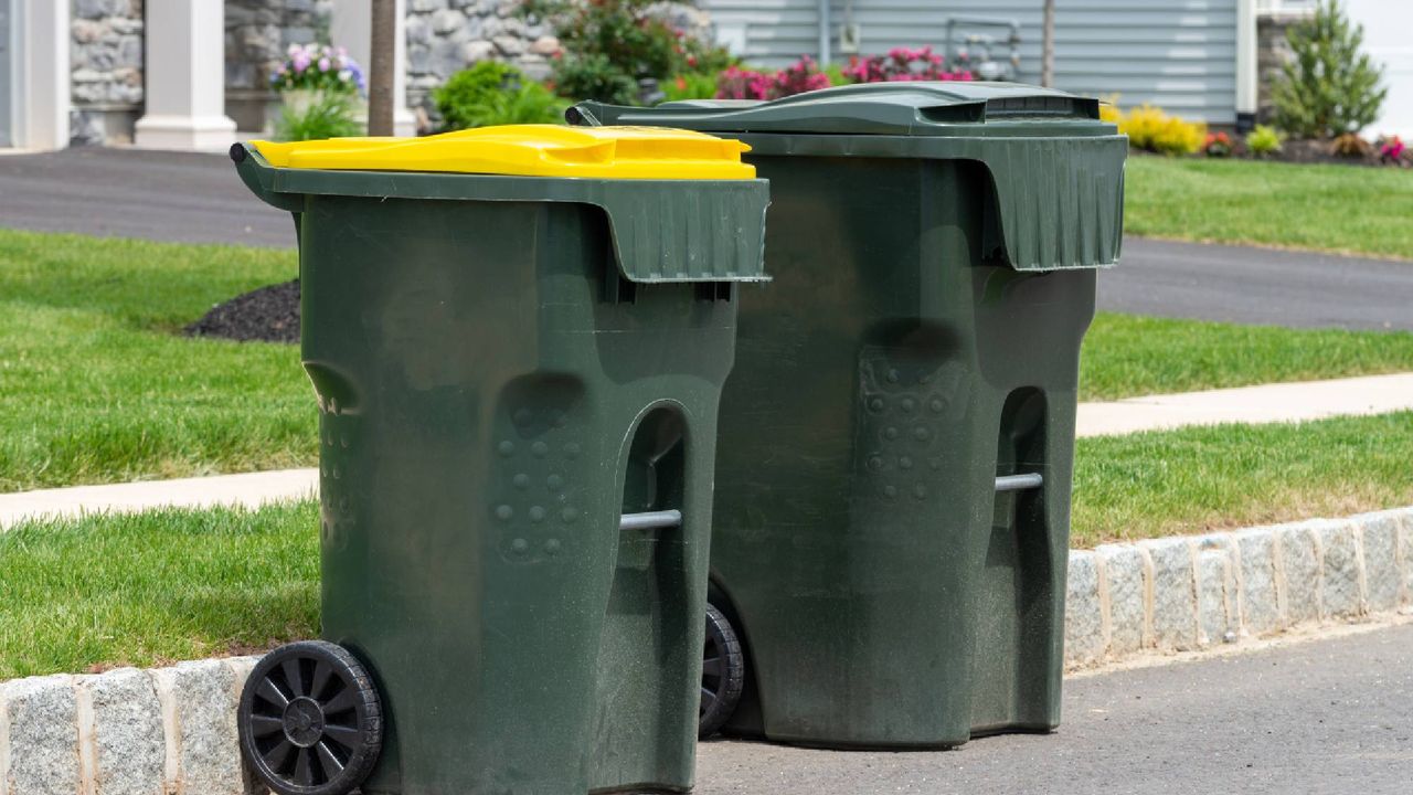Review Trik Freezer untuk Tempat Sampah: Cara Jitu Basmi Belatung di Musim Panas