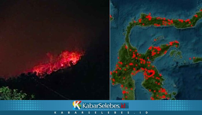 Koalisi LSM Sulteng Desak Status Darurat Karhutla, 1.007 Titik Panas Terdeteksi Hingga Juni 2026