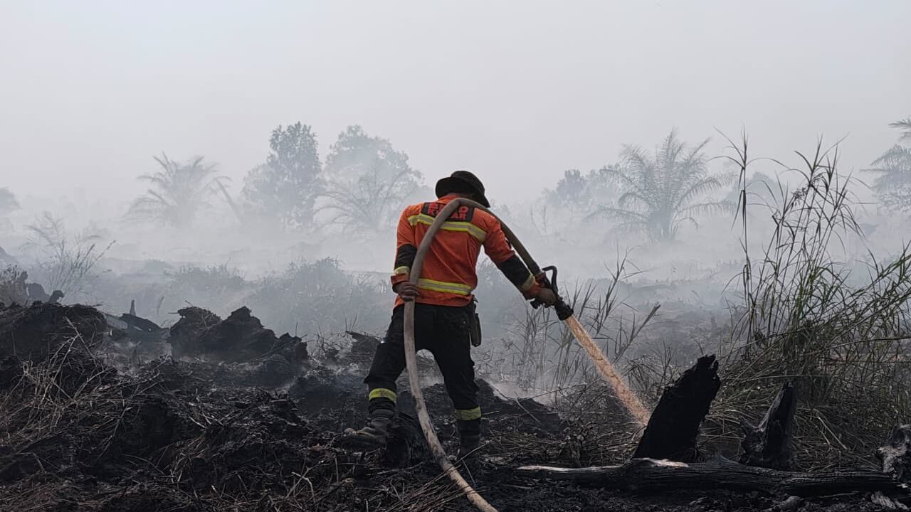 Karhutla Lahan Gambut di Muara Leka Kukar Belum Padam, Api Merambat Hingga Area Perkebunan Sawit PT JMS