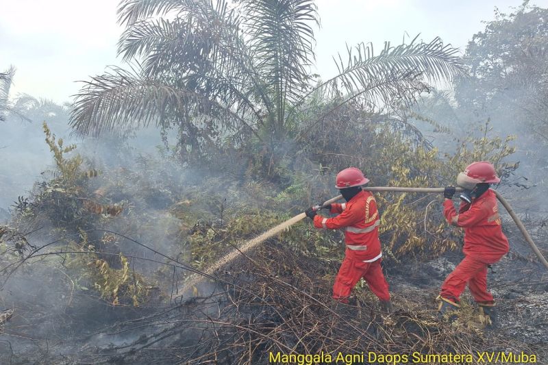 Kabut Asap Karhutla Mulai Selimuti 5 Daerah di Sumsel, ISPU Tertinggi Capai 180 di PALI