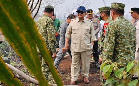 Presiden Prabowo Tinjau Langsung Titik Api Karhutla di Kubu Raya, Perintahkan Pemadaman Terpadu