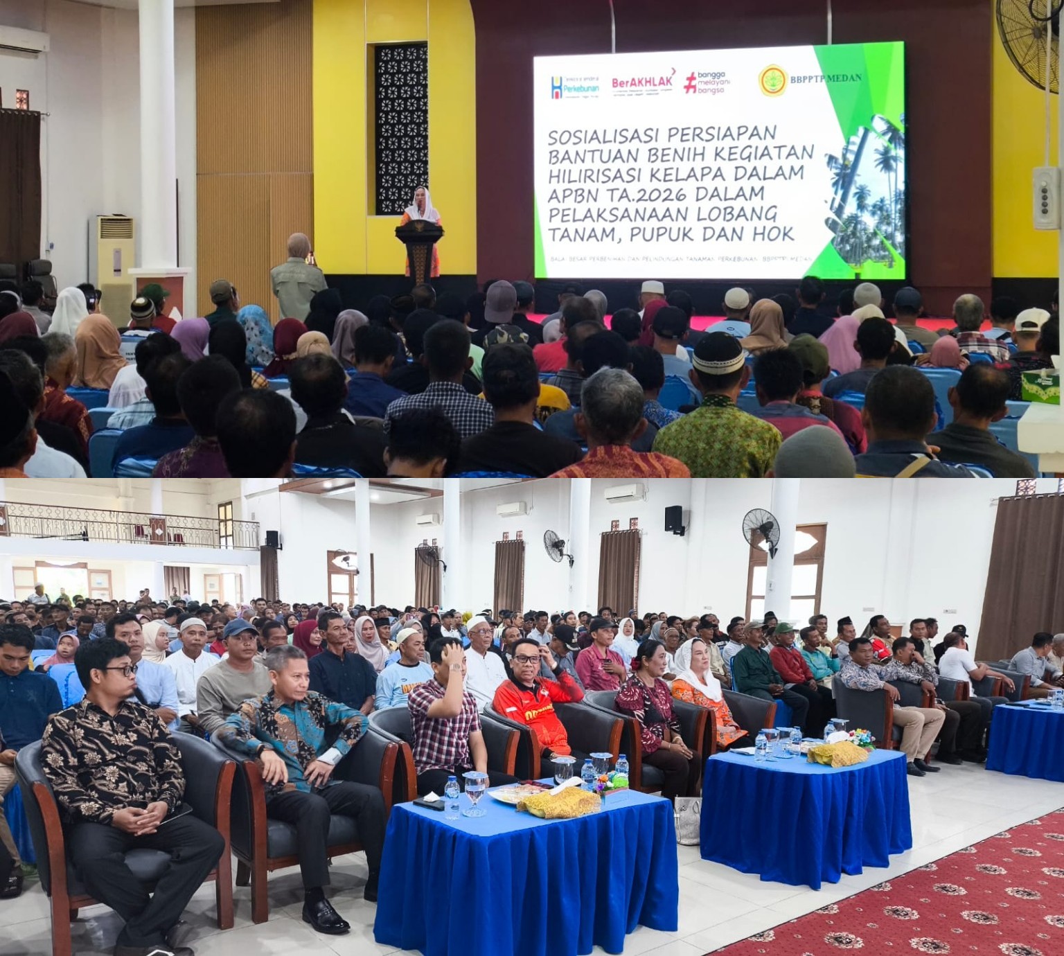 Natuna Kebagian 350 Hektare Hilirisasi Kelapa dari Kementan, 497 Petani di 34 Kelompok Tani Jadi Penerima