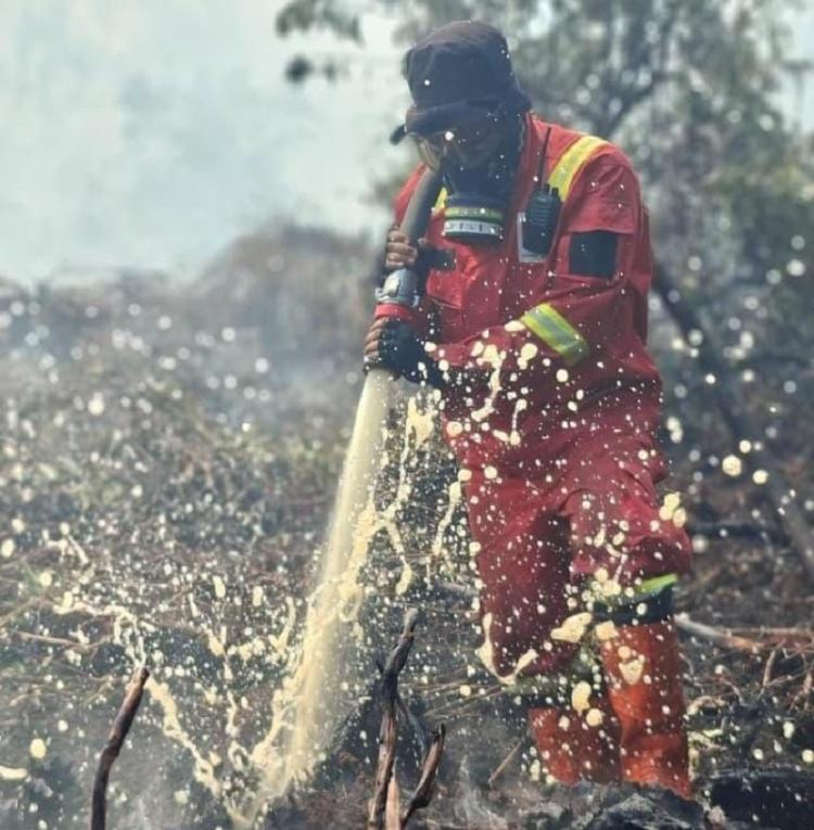 Titik Panas Sumatera Melonjak Jadi 1.589 pada Sabtu Sore, Riau Kepung Asap dan 247 Hotspot Tersebar di 12 Kabupaten Kota