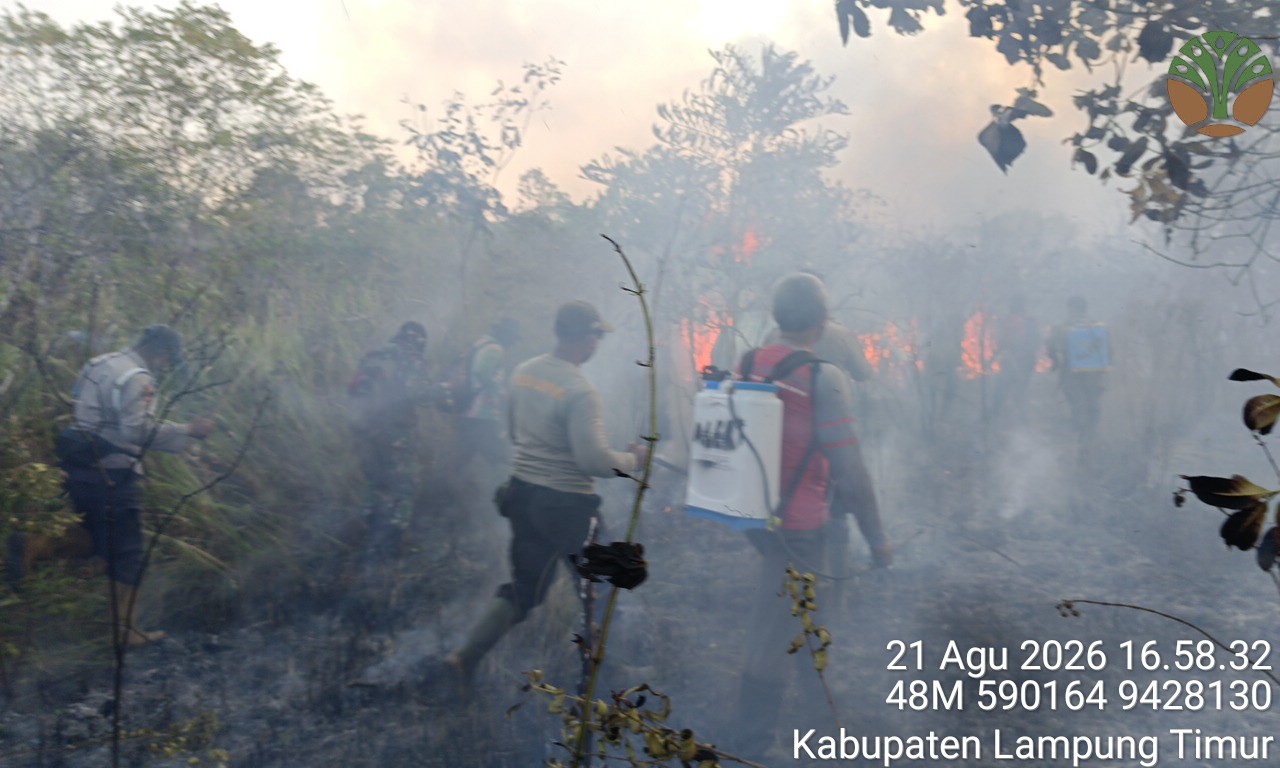 Kebakaran Taman Nasional Way Kambas Meluas, Kepala Balai Sebut Diduga Sengaja Dibakar