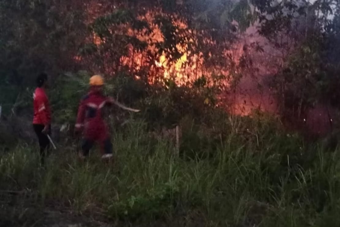 25 Kebakaran Lahan di Balikpapan Sepanjang 2026 Hanguskan 13,9 Hektare, Balikpapan Timur Terbanyak