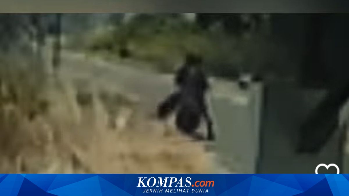Rekaman CCTV Perlihatkan Pengendara Motor Sengaja Bakar Lahan di Belitung Timur, Api Nyaris Capai Permukiman Padat Penduduk