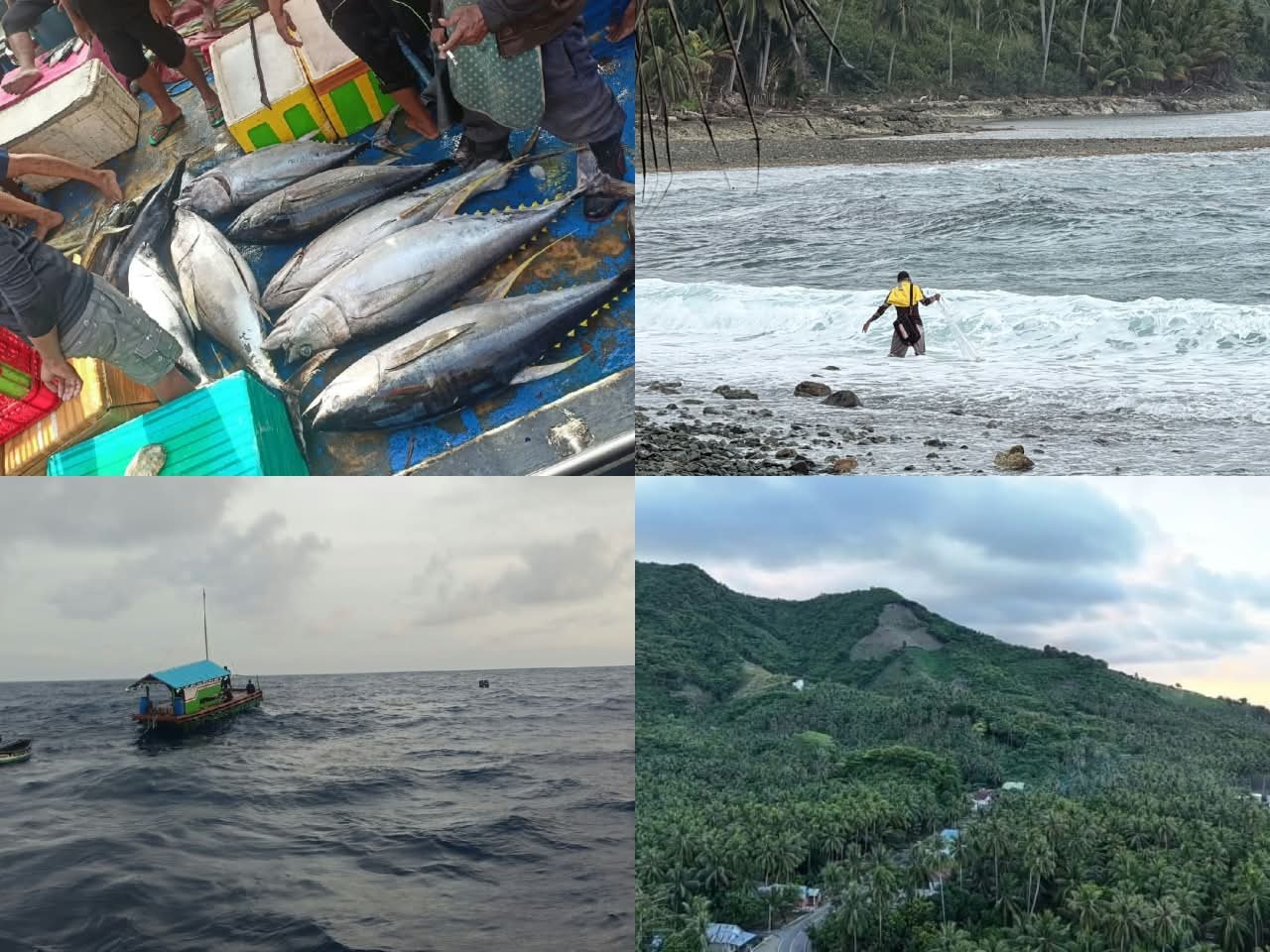 Desa Luluo di Gorontalo Simpan Potensi Ganda Agraris dan Maritim, Cengkeh hingga Tuna Jadi Andalan Ekonomi Warga