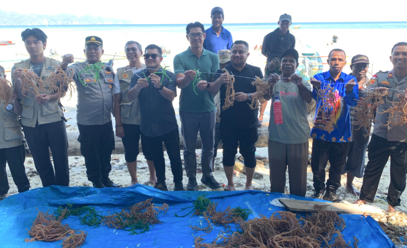 Festival Teluk Mioka di Kampung Sarwandori Yapen Pamerkan Potensi Rumput Laut hingga Terumbu Karang