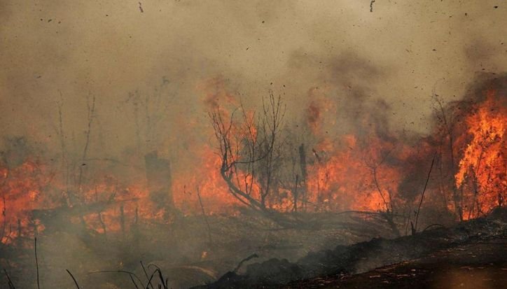 696 Hotspot Terdeteksi di Kalsel, 29 Titik Masuk Kategori Tinggi dan 6.905 Hektare Lahan Terbakar