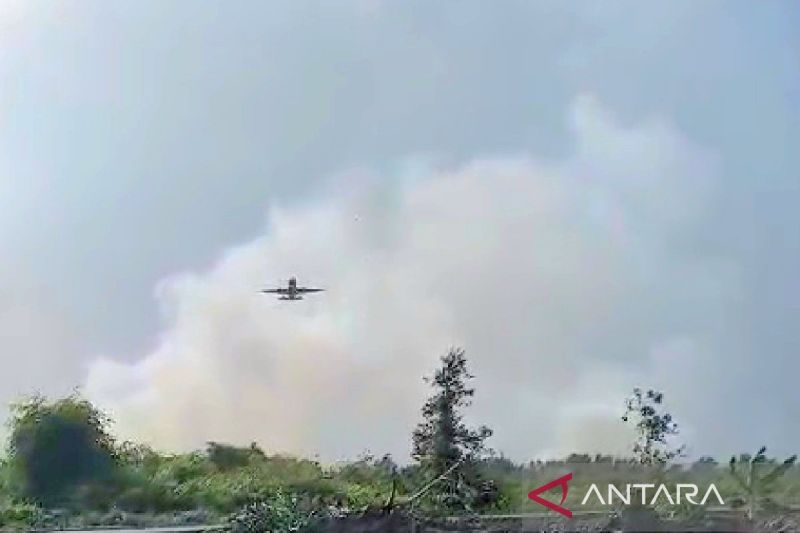 Kabut Asap Karhutla Kembali Lumpuhkan Penerbangan Jakarta-Sampit, 148 Penumpang Terpaksa Kembali ke Jakarta