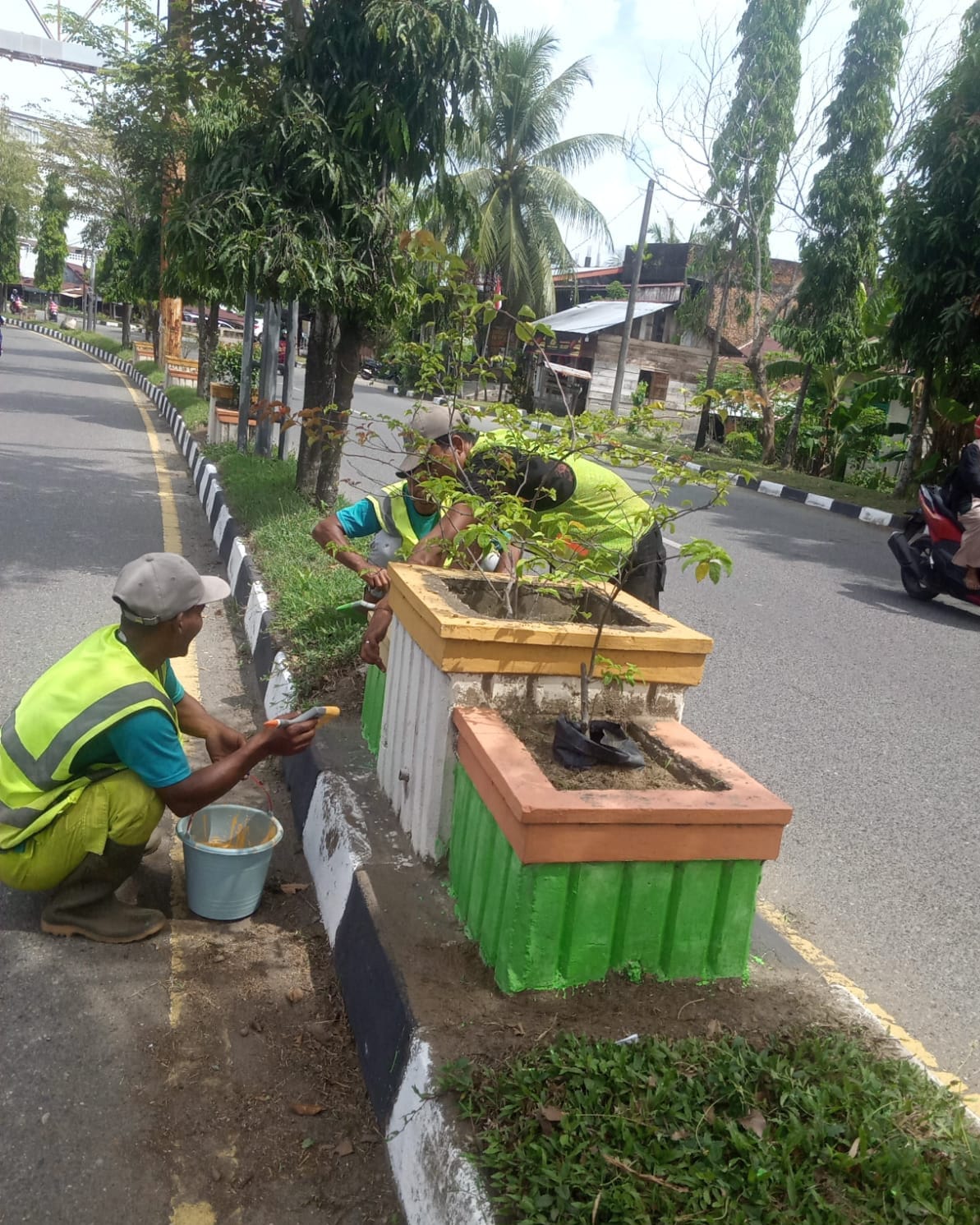 DLH Aceh Barat Mulai Cat Ulang Pot Tanaman dan Pembatas Trotoar di Jalan Perkotaan, Targetkan Tampilan Lebih Rapi