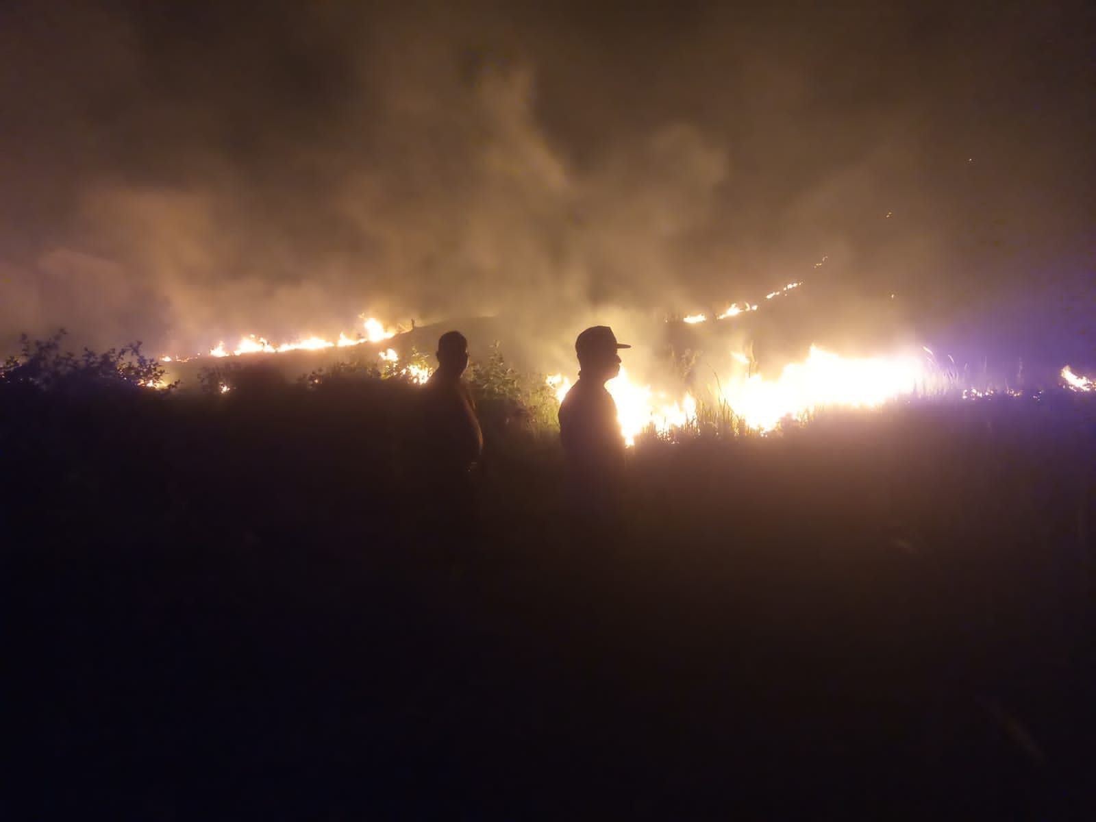 Hotspot Karhutla Sulawesi Tengah Melonjak 205 Persen, 4.147 Hektare Lahan Hangus dan 8 Daerah Siaga Darurat