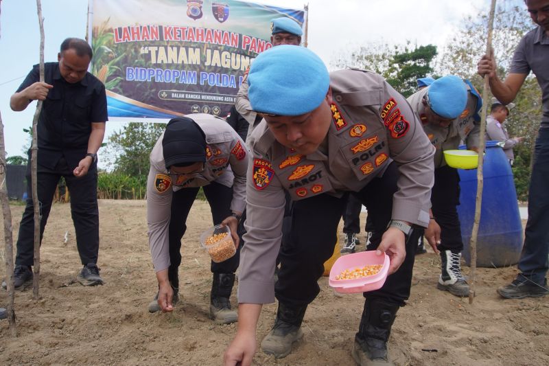 Dukung Ketahanan Pangan, Bidpropam Polda Maluku Tanam Jagung Dua Hektare Bersama Kelompok Tani di Desa Waetele Buru