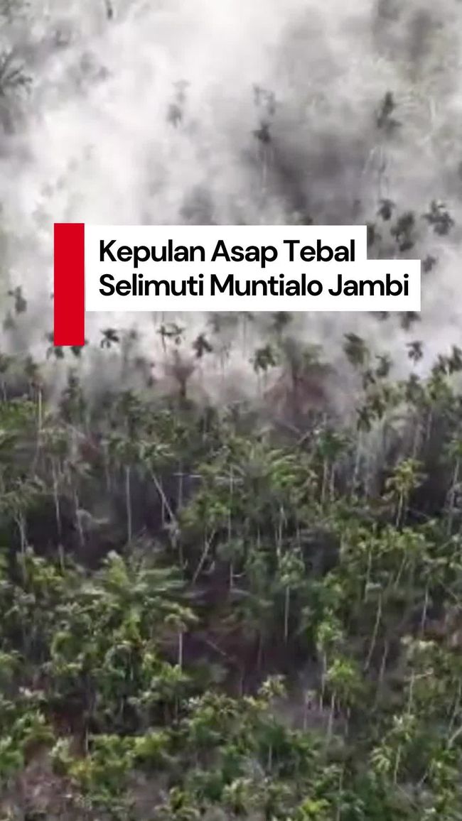 Kebakaran Hutan di Jambi Hanguskan 2,5 Hektare Kebun Pinang, Manggala Agni Berjibaku Padamkan Api di Tanah Semi Gambut