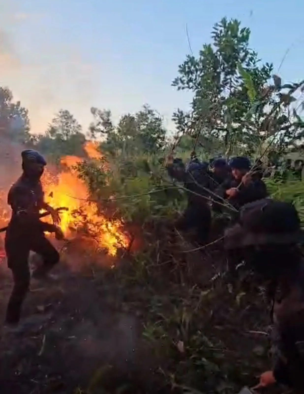Satbrimob Polda Sultra Kerahkan Personel Padamkan Karhutla di Konawe Selatan, Api Berhasil Dikendalikan