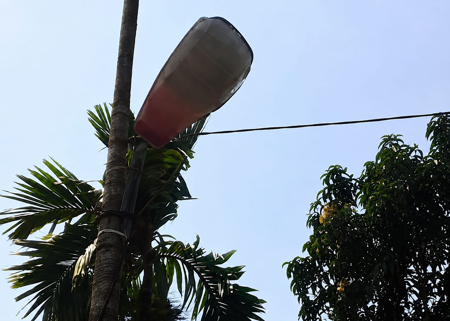 Pohon Pinang Jadi Tiang Listrik 3 Tahun di Tanjab Barat, Dinas Perkim Janji Turun Sore Ini