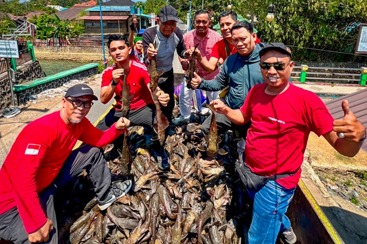 Festival HUT ke-81 RI di Banjarbaru: 300 Warga Turun ke Sungai Kemuning, 2,4 Ton Ikan Sapu-Sapu Berhasil Diangkat