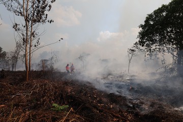 Karhutla Kalimantan Makin Sulit Dipadamkan, Studi Ungkap Perubahan Iklim Perbesar Risiko