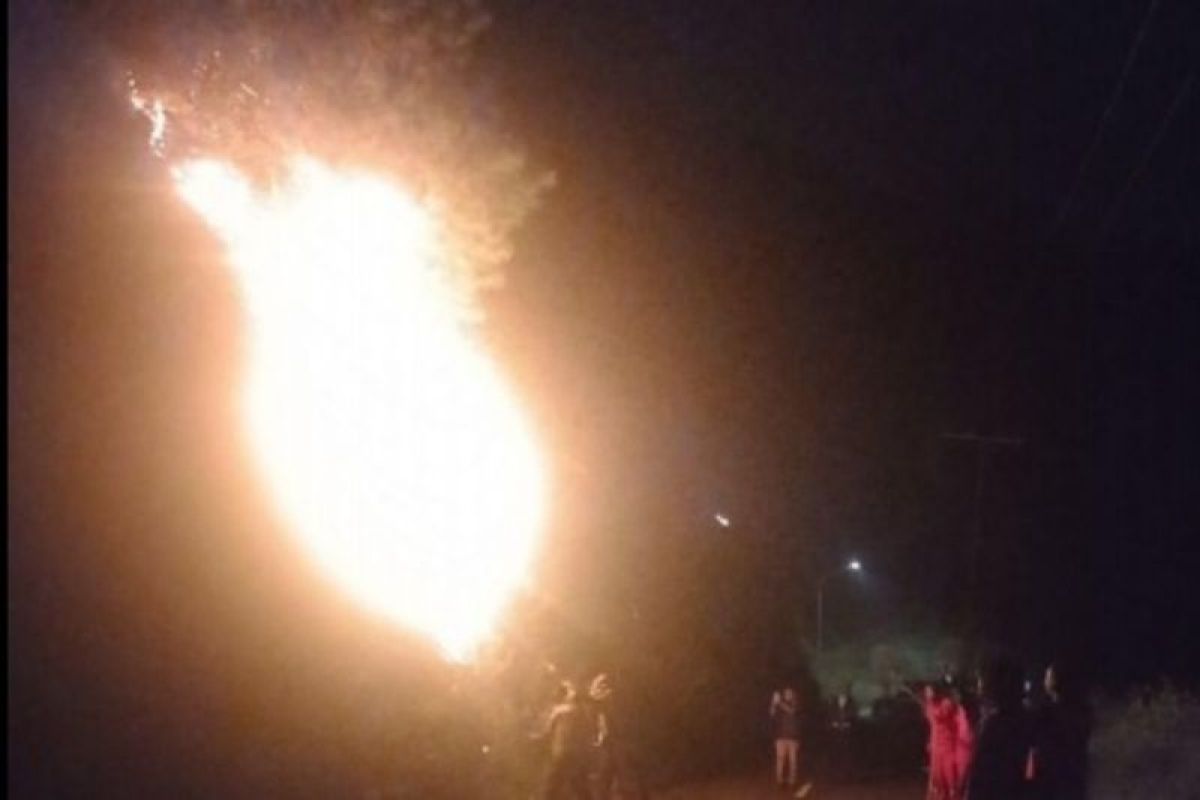 Kebakaran Hutan dan Lahan di Samosir Hanguskan 5 Hektare, Api di Bukit Sitalmak-Talmak Telah Padam