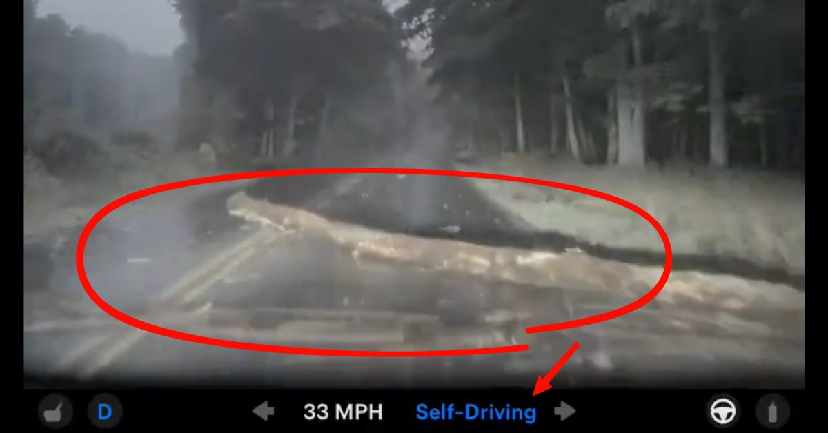 Tesla FSD v14 Lite Tabrak Log di Tengah Jalan, Pemilik: Mobilnya Tak Berhenti Sama Sekali