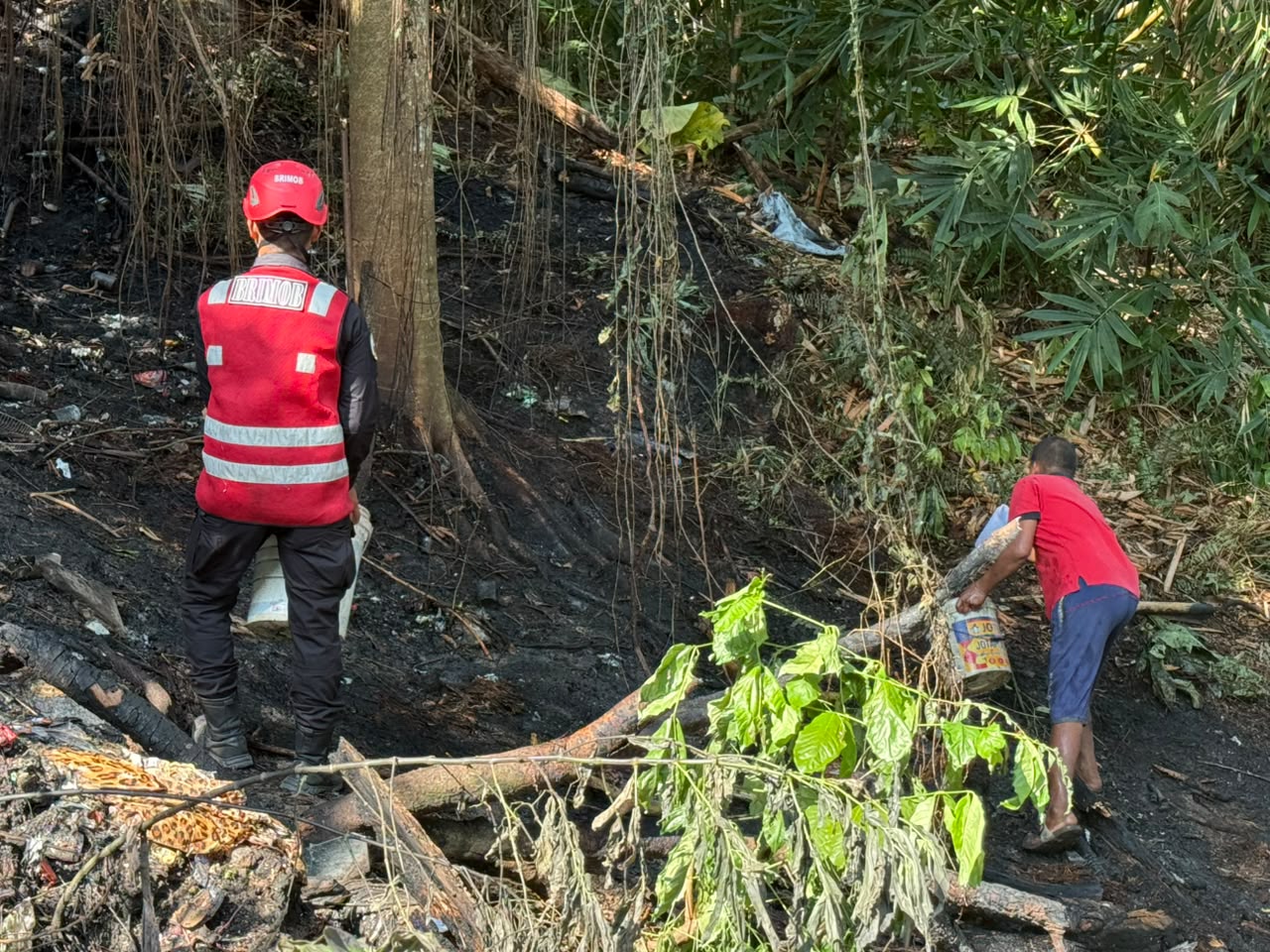 300 Hektare Kebun Sawit dan Singkong di Kutai Barat Terbakar, Brimob Polda Kaltim Kerahkan Tim Respons Cepat