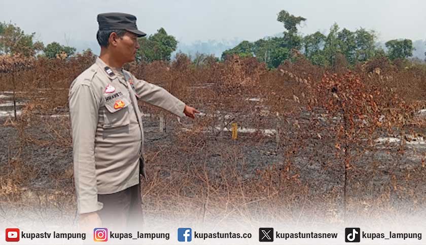 Kebakaran Lahan di Tepi Tol Tulang Bawang Padam, Polisi Siaga Pantau 3 Titik Hotspot di KM 182-184