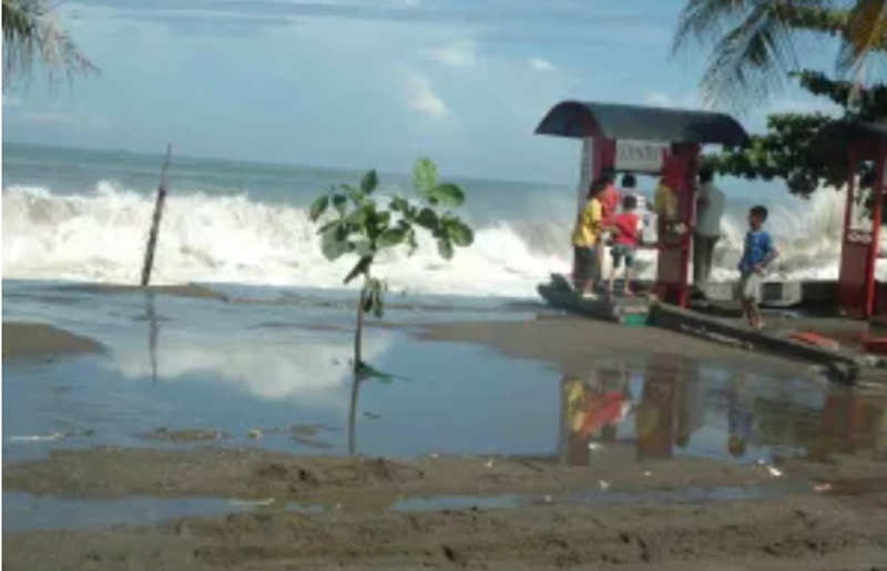 BMKG Maritim Teluk Bayur Keluarkan Peringatan Gelombang 2,5 Meter di Perairan Sumbar, Nelayan Diminta Waspada