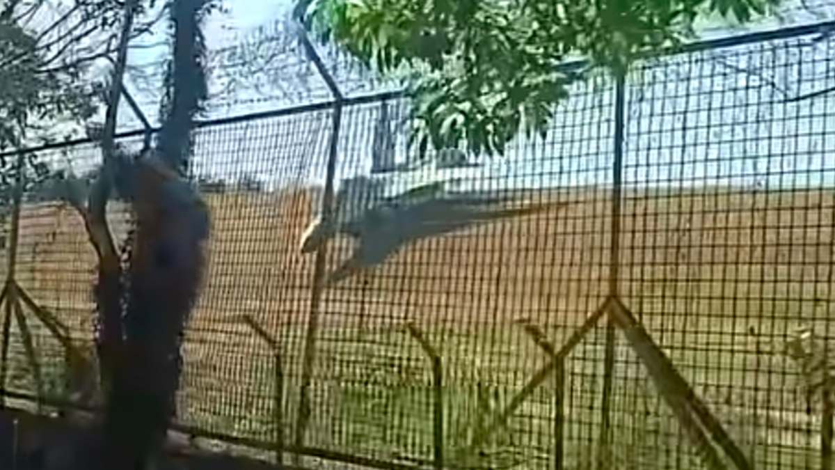 Jet Tempur Sukhoi TNI AU Keluar dari Landasan Pacu Bandara Sultan Hasanuddin Makassar, Aktivitas Penerbangan Sipil Tetap Normal