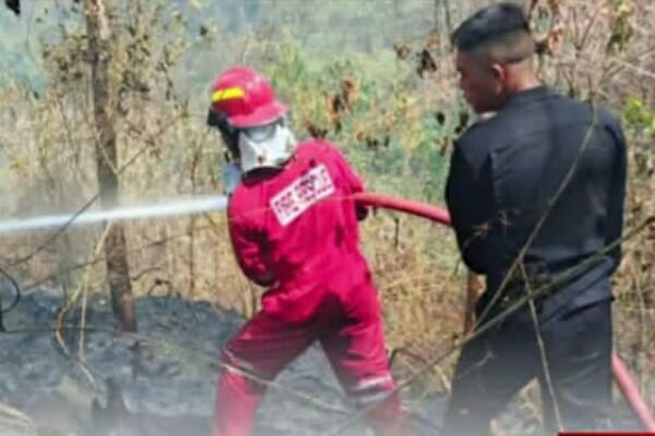 Brimob Polda Sulut Dikerahkan Padamkan Kebakaran Semak di Gunung Batu Minahasa, Personel Sisir Titik Api