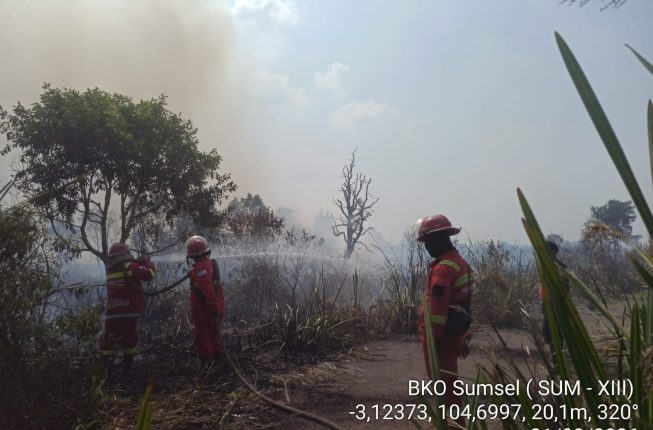 Hotspot Karhutla Sumsel Tembus 600 Titik, Helikopter Water Bombing Tambahan Baru Tiba 27 Agustus